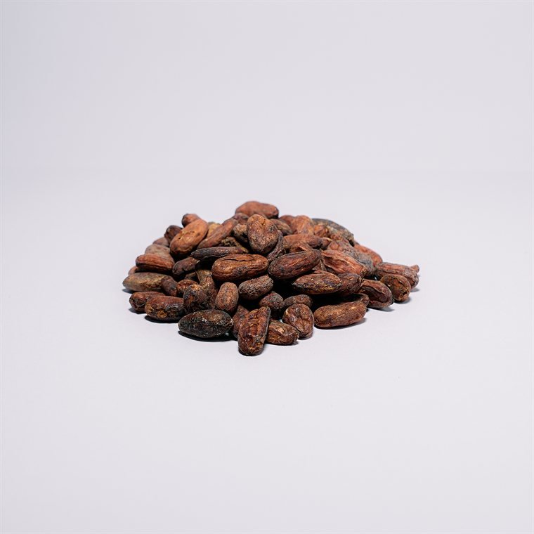 Semillas de cacao x Kg