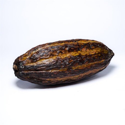 Fruta de cacao